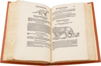 Conrad Gessner: Thierbuch – Josef Stocker-Schmid – NS 4,2 – Zentralbibliothek Zürich (Zurich, Switzerland)