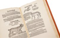 Conrad Gessner: Thierbuch – Josef Stocker-Schmid – NS 4,2 – Zentralbibliothek Zürich (Zurich, Switzerland)