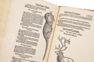 Conrad Gessner: Thierbuch – Josef Stocker-Schmid – NS 4,2 – Zentralbibliothek Zürich (Zurich, Switzerland)