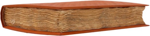 Conrad Gessner: Thierbuch – Josef Stocker-Schmid – NS 4,2 – Zentralbibliothek Zürich (Zurich, Switzerland)