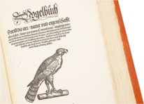 Conrad Gessner: Vogelbuch – Josef Stocker-Schmid – NS 4 | F – Zentralbibliothek Zürich (Zürich, Switzerland)