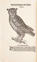 Conrad Gessner: Vogelbuch – Josef Stocker-Schmid – NS 4 | F – Zentralbibliothek Zürich (Zürich, Switzerland)