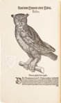Conrad Gessner: Vogelbuch – Josef Stocker-Schmid – NS 4 | F – Zentralbibliothek Zürich (Zürich, Switzerland)