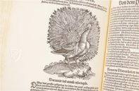 Conrad Gessner: Vogelbuch – Josef Stocker-Schmid – NS 4 | F – Zentralbibliothek Zürich (Zürich, Switzerland)