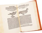 Conrad Gessner: Vogelbuch – Josef Stocker-Schmid – NS 4 | F – Zentralbibliothek Zürich (Zürich, Switzerland)