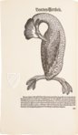 Conrad Gessner: Vogelbuch – Josef Stocker-Schmid – NS 4 | F – Zentralbibliothek Zürich (Zürich, Switzerland)