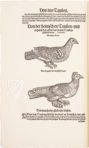 Conrad Gessner: Vogelbuch – Josef Stocker-Schmid – NS 4 | F – Zentralbibliothek Zürich (Zürich, Switzerland)