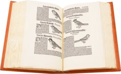 Conrad Gessner: Vogelbuch – Josef Stocker-Schmid – NS 4 / F – Zentralbibliothek Zürich (Zurich, Switzerland)