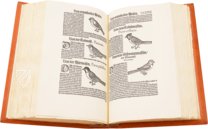 Conrad Gessner: Vogelbuch – Josef Stocker-Schmid – NS 4 / F – Zentralbibliothek Zürich (Zurich, Switzerland)