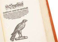 Conrad Gessner: Vogelbuch – Josef Stocker-Schmid – NS 4 / F – Zentralbibliothek Zürich (Zurich, Switzerland)