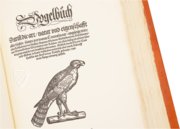 Conrad Gessner: Vogelbuch – Josef Stocker-Schmid – NS 4 / F – Zentralbibliothek Zürich (Zurich, Switzerland)