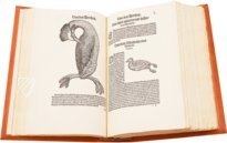 Conrad Gessner: Vogelbuch – Josef Stocker-Schmid – NS 4 / F – Zentralbibliothek Zürich (Zurich, Switzerland)