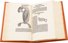 Conrad Gessner: Vogelbuch – Josef Stocker-Schmid – NS 4 / F – Zentralbibliothek Zürich (Zurich, Switzerland)