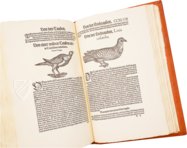 Conrad Gessner: Vogelbuch – Josef Stocker-Schmid – NS 4 / F – Zentralbibliothek Zürich (Zurich, Switzerland)