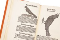 Conrad Gessner: Vogelbuch – Josef Stocker-Schmid – NS 4 / F – Zentralbibliothek Zürich (Zurich, Switzerland)