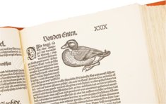 Conrad Gessner: Vogelbuch – Josef Stocker-Schmid – NS 4 / F – Zentralbibliothek Zürich (Zurich, Switzerland)