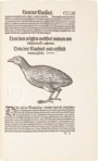 Conrad Gessner: Vogelbuch – Josef Stocker-Schmid – NS 4 / F – Zentralbibliothek Zürich (Zurich, Switzerland)