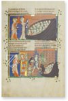 Corpus Apocalypse – Quaternio Verlag Luzern – MS 20 – Parker Library at Corpus Christi College Cambridge (Cambridge, United Kingdom)