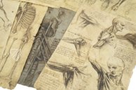 Corpus of the Anatomical Studies (Collection) – Collezione Apocrifa Da Vinci – Royal Library at Windsor Castle (Windsor, United Kingdom)