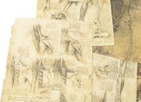 Corpus of the Anatomical Studies (Collection) – Collezione Apocrifa Da Vinci – Royal Library at Windsor Castle (Windsor, United Kingdom)