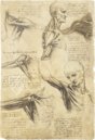 Corpus of the Anatomical Studies (Collection) – Collezione Apocrifa Da Vinci – Royal Library at Windsor Castle (Windsor, United Kingdom)