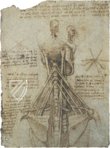 Corpus of the Anatomical Studies (Collection) – Collezione Apocrifa Da Vinci – Royal Library at Windsor Castle (Windsor, United Kingdom)