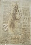 Corpus of the Anatomical Studies (Collection) – Collezione Apocrifa Da Vinci – Royal Library at Windsor Castle (Windsor, United Kingdom)