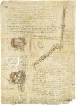 Corpus of the Anatomical Studies (Collection) – Collezione Apocrifa Da Vinci – Royal Library at Windsor Castle (Windsor, United Kingdom)