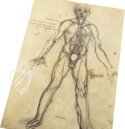 Corpus of the Anatomical Studies (Collection) – Royal Library at Windsor Castle (Windsor, United Kingdom) Facsimile Edition