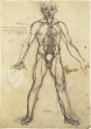 Corpus of the Anatomical Studies (Collection) – Royal Library at Windsor Castle (Windsor, United Kingdom) Facsimile Edition