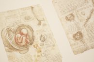 Corpus of the Anatomical Studies – Giunti Editore – Royal Library at Windsor Castle (Windsor, United Kingdom)