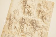 Corpus of the Anatomical Studies – Giunti Editore – Royal Library at Windsor Castle (Windsor, United Kingdom)