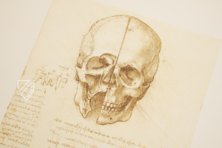 Corpus of the Anatomical Studies – Giunti Editore – Royal Library at Windsor Castle (Windsor, United Kingdom)