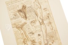 Corpus of the Anatomical Studies – Giunti Editore – Royal Library at Windsor Castle (Windsor, United Kingdom)