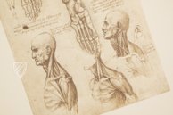 Corpus of the Anatomical Studies – Giunti Editore – Royal Library at Windsor Castle (Windsor, United Kingdom)