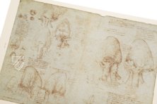 Corpus of the Anatomical Studies – Giunti Editore – Royal Library at Windsor Castle (Windsor, United Kingdom)