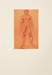 Corpus of the Anatomical Studies – Giunti Editore – Royal Library at Windsor Castle (Windsor, United Kingdom)