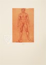 Corpus of the Anatomical Studies – Giunti Editore – Royal Library at Windsor Castle (Windsor, United Kingdom)