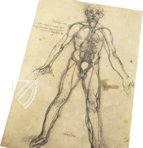 Corpus of the Anatomical Studies – Giunti Editore – Royal Library at Windsor Castle (Windsor, United Kingdom)