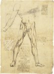 Corpus of the Anatomical Studies – Giunti Editore – Royal Library at Windsor Castle (Windsor, United Kingdom)