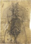 Corpus of the Anatomical Studies – Giunti Editore – Royal Library at Windsor Castle (Windsor, United Kingdom)