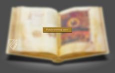 Corpus of the Anatomical Studies – Giunti Editore – Royal Library at Windsor Castle (Windsor, United Kingdom)