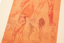 Corpus of the Anatomical Studies – Prisma Verlag – Royal Library at Windsor Castle (Windsor, United Kingdom)