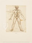 Corpus of the Anatomical Studies – Prisma Verlag – Royal Library at Windsor Castle (Windsor, United Kingdom)