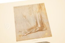 Corpus of the Anatomical Studies – Prisma Verlag – Royal Library at Windsor Castle (Windsor, United Kingdom)