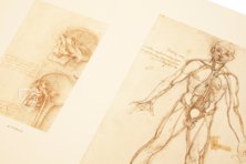 Corpus of the Anatomical Studies – Prisma Verlag – Royal Library at Windsor Castle (Windsor, United Kingdom)