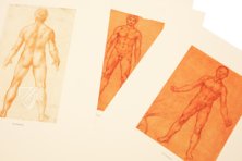 Corpus of the Anatomical Studies – Prisma Verlag – Royal Library at Windsor Castle (Windsor, United Kingdom)