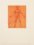 Corpus of the Anatomical Studies – Prisma Verlag – Royal Library at Windsor Castle (Windsor, United Kingdom)