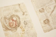 Corpus of the Anatomical Studies – Royal Library at Windsor Castle (Windsor, United Kingdom) Facsimile Edition