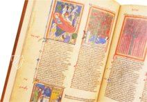 Corsiniana Mirror of Human Salvation – Istituto dell'Enciclopedia Italiana - Treccani – MS Rossi 17 (55.K.2) – Biblioteca dell'Accademia Nazionale dei Lincei e Corsiniana (Rome, Italy)
